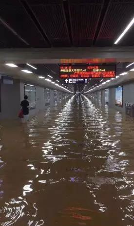 1701930596503585.png d47cf4ab89c2702ca124c483a1be2b0.png